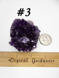Amethyst Cluster