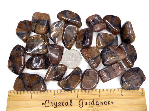 Chiastolite tumbled stone